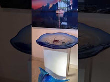 Load and play video in Gallery viewer, Aquarium Centerpiece by Pino Signoretto
