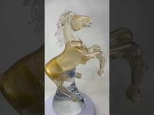 Load and play video in Gallery viewer, Wave Murano Glass - Stallion Hand Formed in Murano
